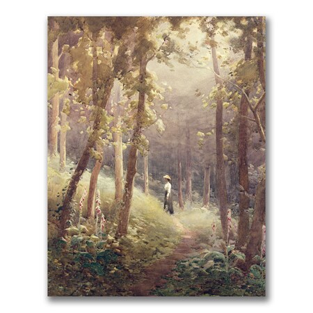 John Faraquharson 'A Woodland Glade' Canvas Art,26x32